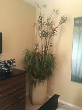 Bamboo Tree