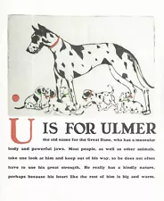 "U" is for Ulmer | Great Dane - CUSTOM MATTED - Vintage Dog Print - Clara Tice