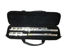 Accent Flute Fl540s-j #10238