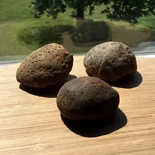 3 Brazilian Agate Geodes Solid Unopened Natural Rough Rock 3.5 to 3.75 Inch Long