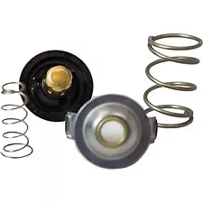 RT-1163 Motorcraft Thermostat New for Ford Thunderbird Lincoln LS 2003-2006 (For: 2005 Ford Thunderbird)