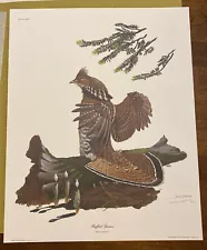 Ray Harm Limited Edition Hand Signed Print 1972 RUFFLED GROUSE 16”x20” NOS