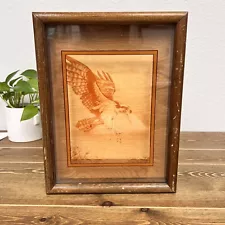 Vintage 1976 Framed Eagle Etching on Glass Lucid Lines Signed Dennis Curry