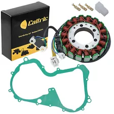 Stator & Gasket for Arctic Cat 300 2x4 4x4 1998 1999 2000 2001 2002 2003 2004 (For: 2000 Arctic Cat 300 4X4)