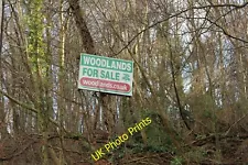 Photo 6x4 Woodland for Sale near Annbank c2015