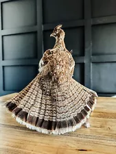 Taxidermy Ruffled Grouse On Wood Mount