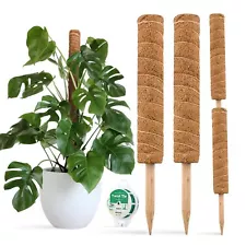 30 Inch Moss Pole for Climbing Plants 2 Pack 15 Inch Coir Totem Pole Plant Suppo