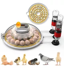 26 Chicken Egg Incubator Incubator with Temperature Display, Incubators for Hatc