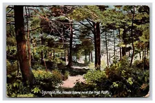 Woods Scene Near The High Rock, Ogunquit Maine ME Postcard