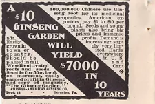 Chinese-American Ginseng Garden Company Scranton PA 1903 Vintage Mag Print Ad