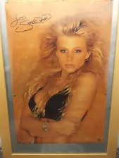 Vtg 1991 SUE Sexy Girl Pin-up #183 Poster Made In USA 21”x32”