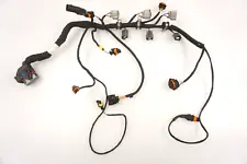 2014-2019 Sea-Doo Spark 900 HO ACE OEM Engine Wiring Harness 420666252 420666257