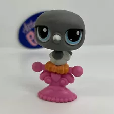 PIGEON #356 W/ Accessory - Authentic Littlest Pet Shop - Hasbro LPS