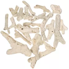 3 -10CM500g Media Crushed Coral for Freshwater Fish Tank Bone