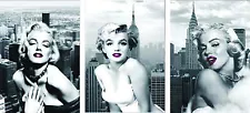 3D LENTICULAR PRINT / MARILYN MONROE / 12x16 / 3 Prints in One / NO FRAME