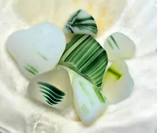 Genuine Sea Glass Lot-7 Davenport UV Green & White Extremely Rare-ALL JQ!