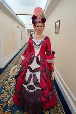 Marie Antoinette Victorian Rococo Costume Dress Halloween Versailles Sz L Gown