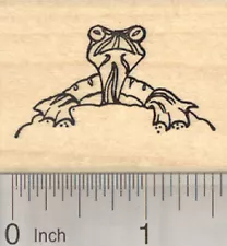 Yellow Bellied Slider Rubber Stamp, semi-aquatic Turtle E23520 WM