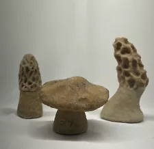 2 Morel Mushrooms & 1 American Stone Art Mushroom By Bliss ð