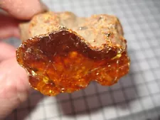 Polished large fossil Amber piece Colombia takes jewelry polish for display #10