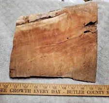 Beautiful Black Cherry rough cut slab for crafting.