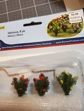 Miniture Hibiscus Plants 7 Pieces