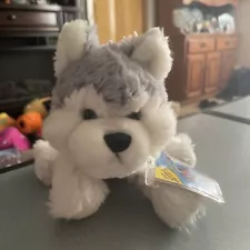 GANZ Webkinz Lil' Kinz Husky Brand NEW Unused Code Tag HS120 Plush Toy Stuffed