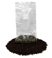 Pasteurized Manure Based Substrate in Grow Bag