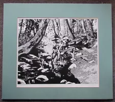 TIM SALE PHOTOPRINT SIGNED TWILIGHT 1978