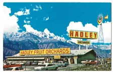 Cabazon California c1960's Hadley Fruit Orchards, retail store, vintage cars