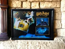 Harry Potter Devil's Snare Screen-Used Movie Prop Display - Hogwarts Magic