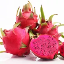 Fruit Organic 200 Red Dragon Fruit Seeds Pitaya