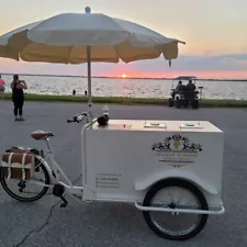 VINTAGE ICE CREAM CART PLUG IN