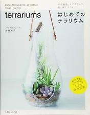 Your first terrarium made with succulents, air plants, moss, and orchids