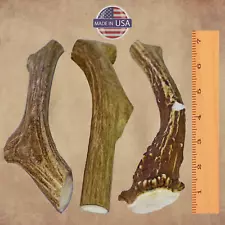 3 Pack - Large | Deer Antlers for Dogs | Naturally Shed Antler Chew - USA