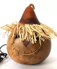 Dried natural gourd, handmade smiling scarecrow face, lights up