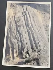 PETRIFIED TREE PHOTO ARKANSAS NORTHWEST VINTAGE ORIGINAL PHOTOGRAPH