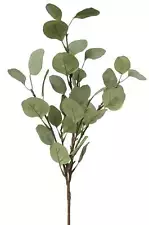 Silver Dollar Eucalyptus Branch Faux Plants And Trees