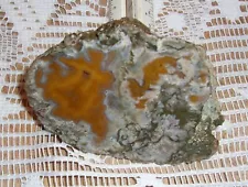 Kentucky Agate Yellow Orange Banding On This Unique 7oz Specimen