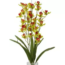 Green Poly Silk Boat Orchid Bush