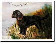 American Water Spaniel Profile Notecard Set - 6 Blank Note Cards Ruth Maystead