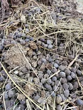 (2.5 LB) Rabbit Manure Poop Garden Fertilizer