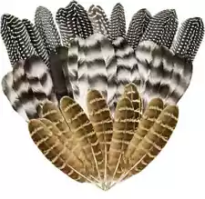 Natural Turkey Spotted Feathers, 30Pcs Pheasant Feathers for Crafts DIY Hat USA