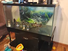 125 gallon fish tank