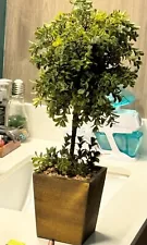 Faux Boxwood Topiary in Rustic Wooden Planter - Artificial Plant for Home or Off