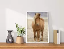 Icelandic Horse Art | Animal art for Sale and Wildlife prints - Home Decor .