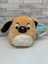 Squishmallow 8" Bobzi Pekingese Dog FUZZY BELLY PLUSH