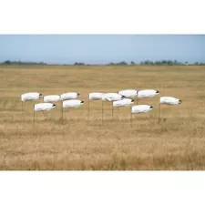 GHG Pro Grade WindSock Decoys Tall Snow Goose No Heads