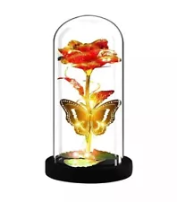 Beauty and The Beast Light Rose