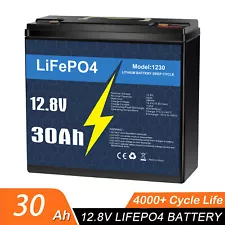 12V 30Ah LiFePO4 Lithium Iron Phosphate Battery Deep Cycle for RV Marine Solar